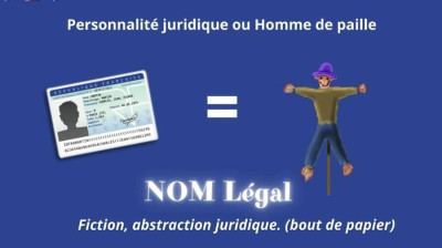 La nature de la cage - La fraude du NOM  (0066)