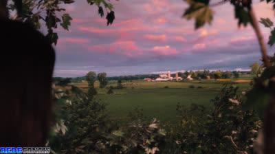 O Primeiro Amor-dublado-2010-1080p