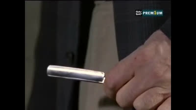 Il commissario Rex 02x15