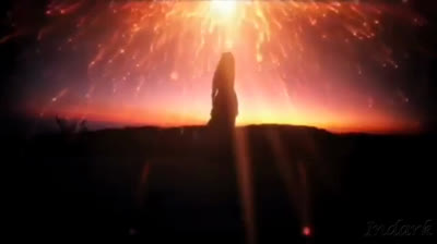 The Snake Corps - This is a seagull