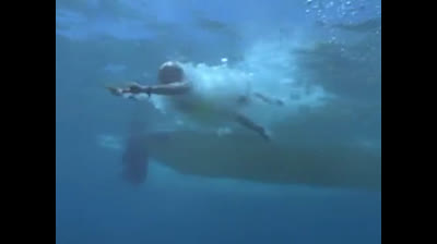 Baywatch 10x13 Liquid Visions